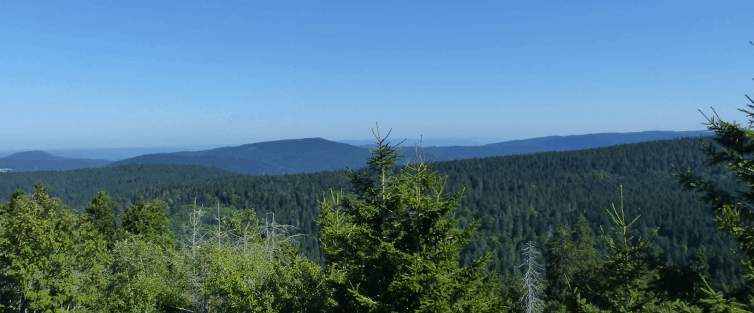 ecti vosges